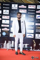 South Indian International Movie Awards 2016 Day 2